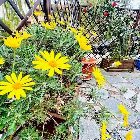 Dei Fiori - Luxury Open Space